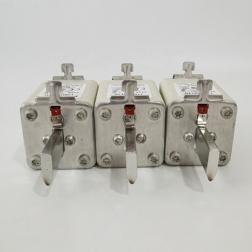 Original Electrical Fuse 170M3817D In stock