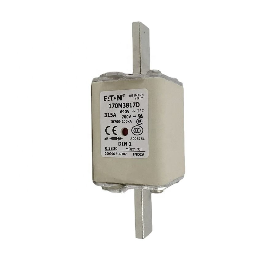 Original Electrical Fuse 170M3817D In stock